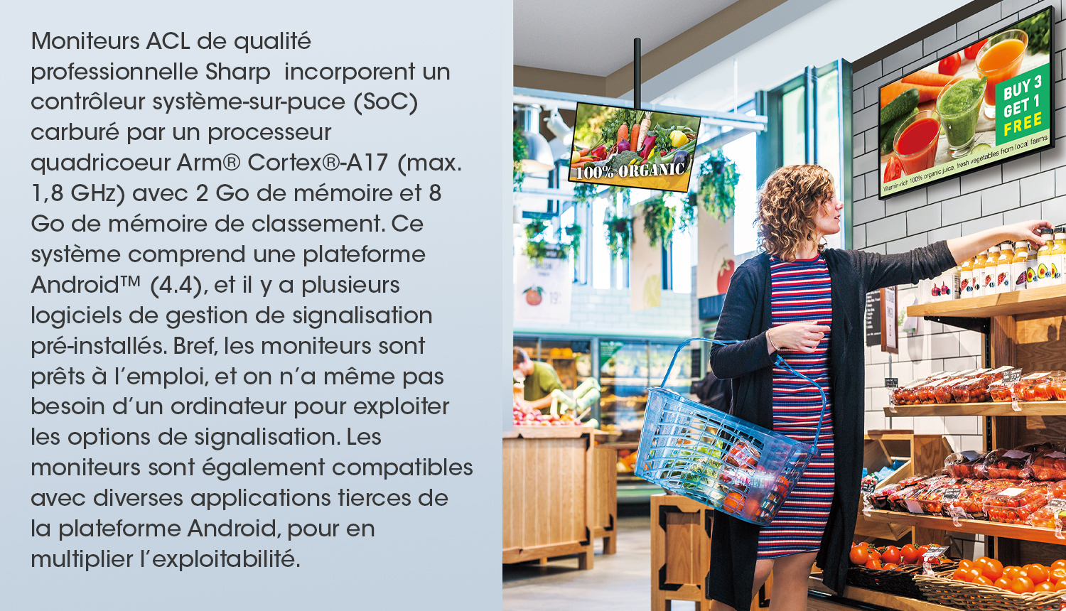 Système sur puce (SoC) incorporé