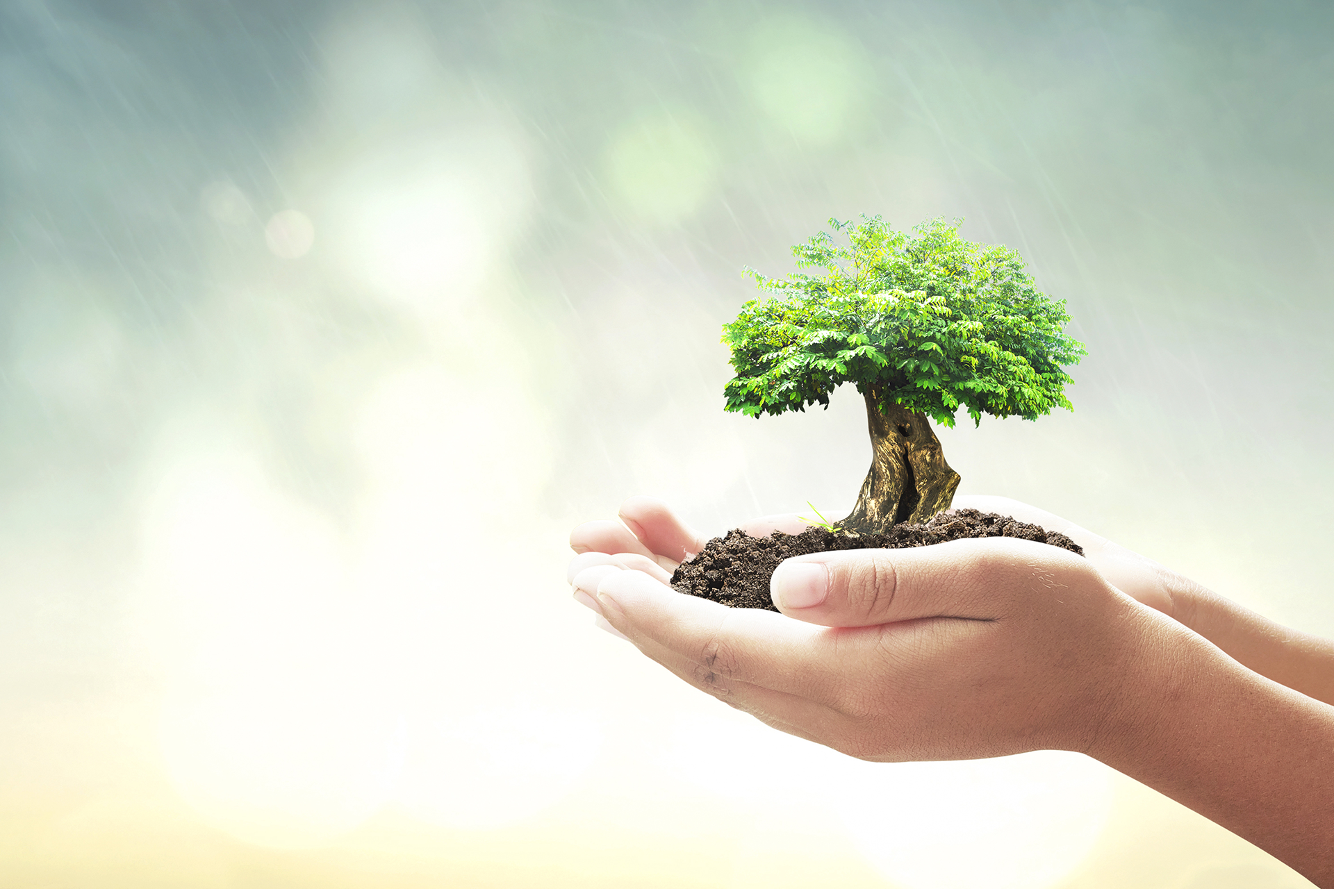 CSR_enviroinitiative2