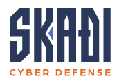 Skadi logo