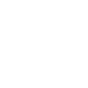 Security Badge icon
